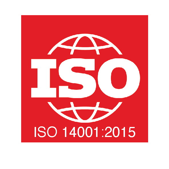 logo 10